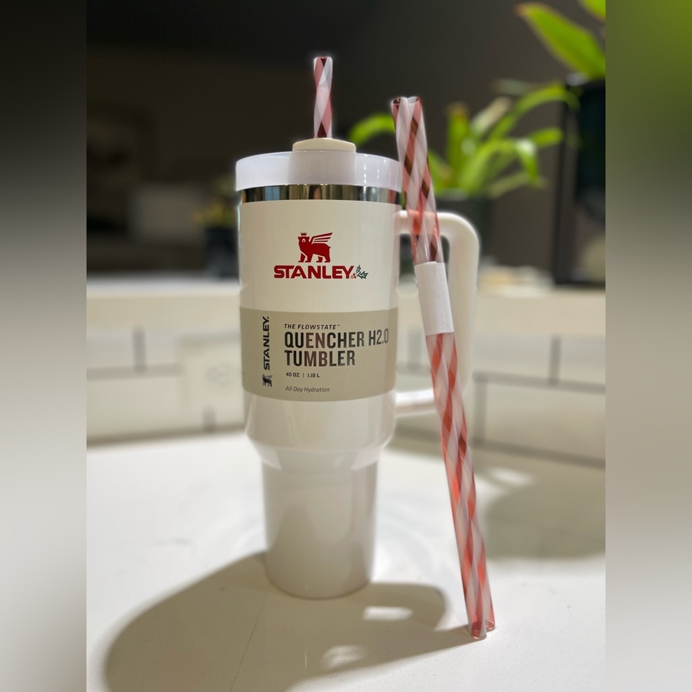 NEW Stanley 1913 The Quencher H2.0 FlowState™ Tumbler 40oz White Mistletoe Twist